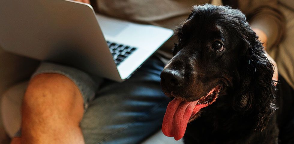 man holding laptop with black dog